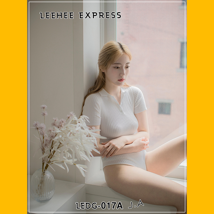 LeeheeExpress 042 LEDG-017A+B - J.A(102)